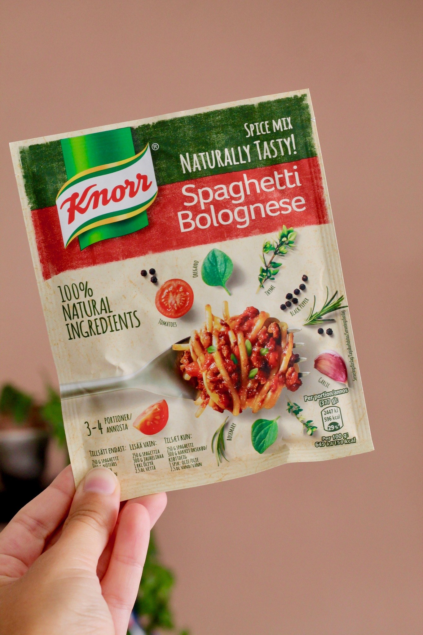 Knorr spaghetti bolognese spice mix