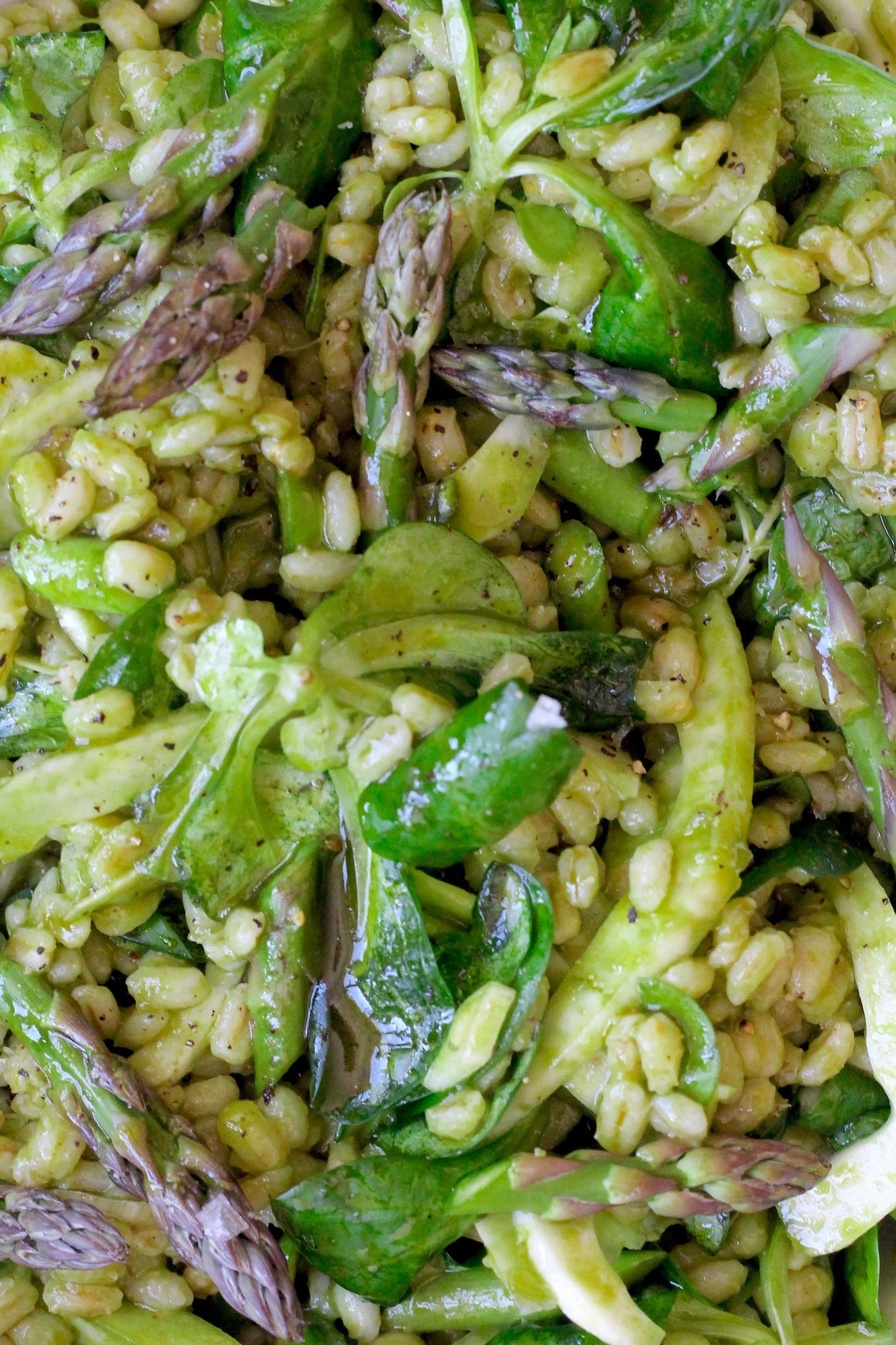 Perlebygsalat med asparges, fennikel og urtedressing 1