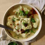 hjemmelavet wonton suppe opskrift